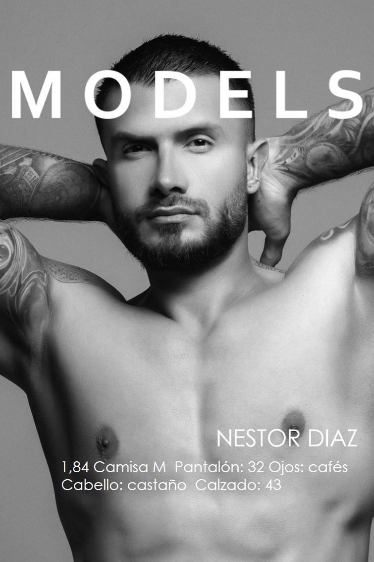 NESTOR DIAZ